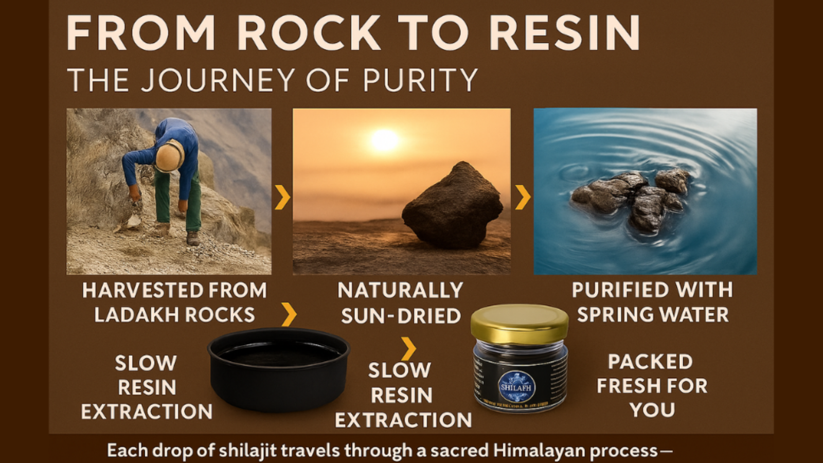 Pure Himalayan Shilajit Resin | Ladakh | 20gm | NH Ladakh Dry Fruits - Image 5